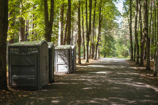Best Luxury portable toilet rental  in Chesilhurst, NJ